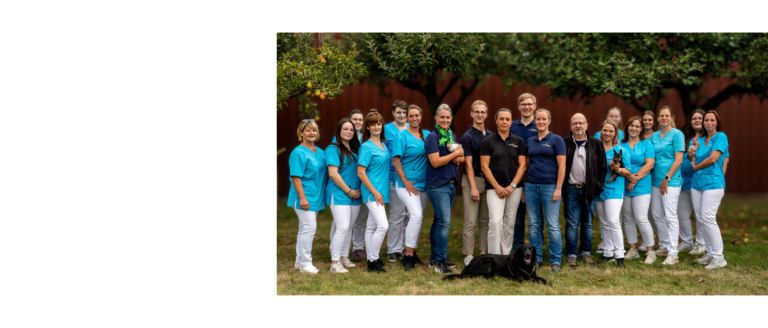 Team neu bearbeitet (1).png